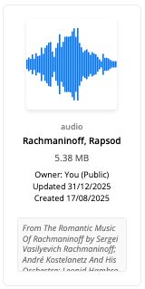 Audio File