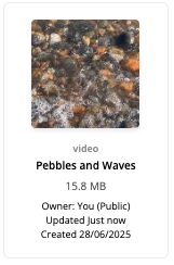 Video File